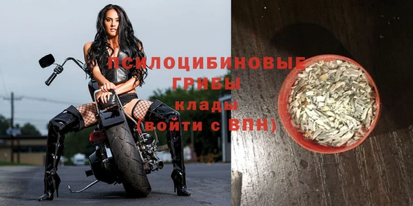 mdpv Заводоуковск