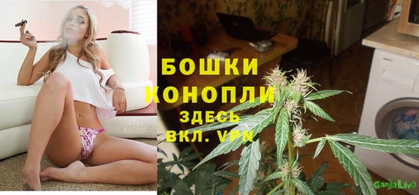 mdpv Заводоуковск