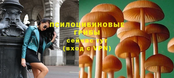 мдпв Заволжск